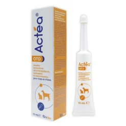 Actea Oto chat, chien