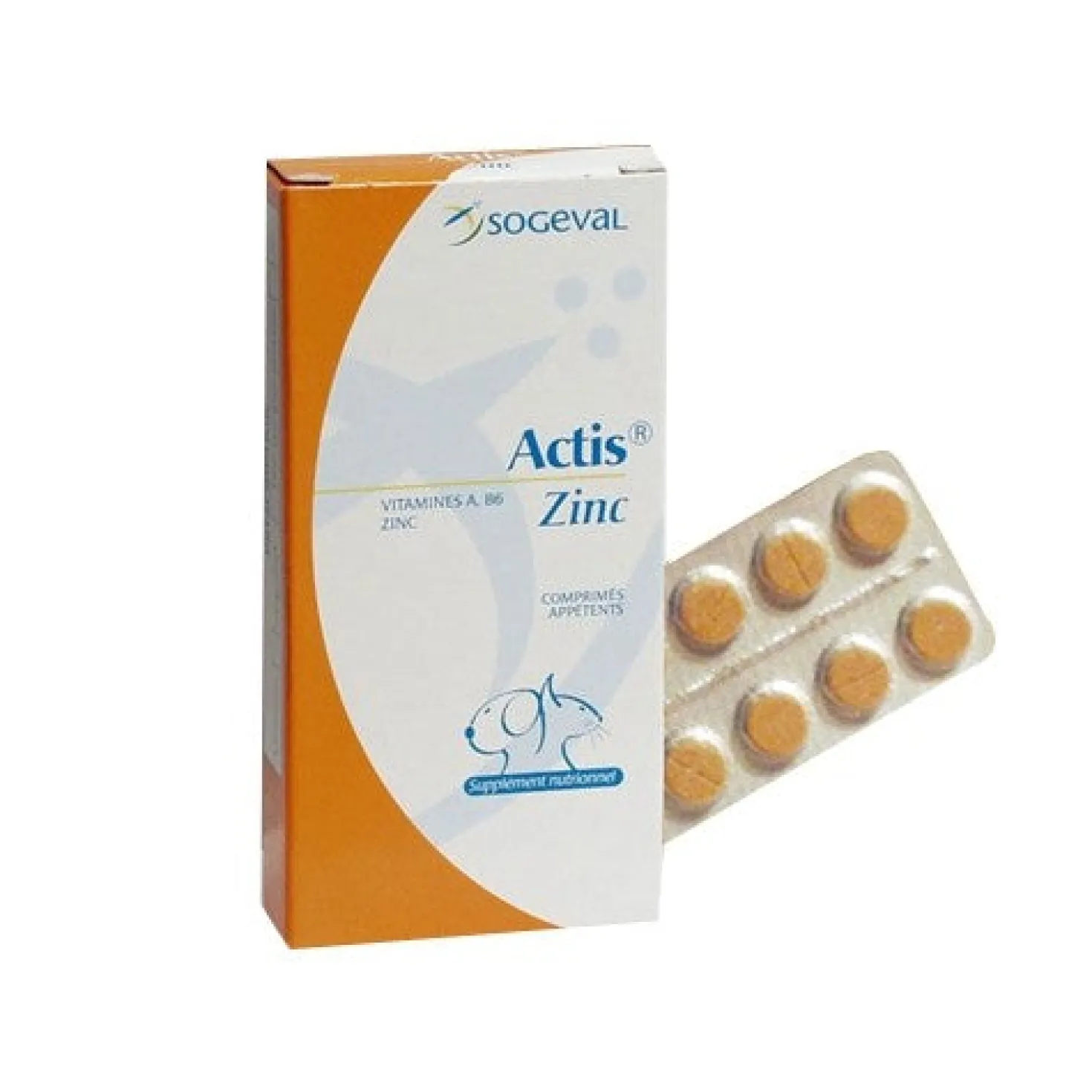 Actis Zinc chat, chien