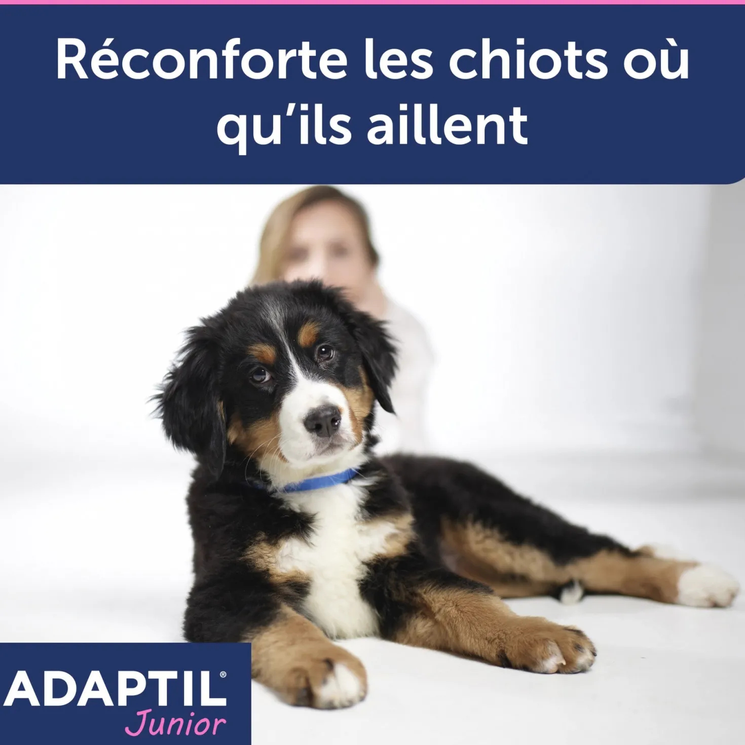 ADAPTIL® Junior collier