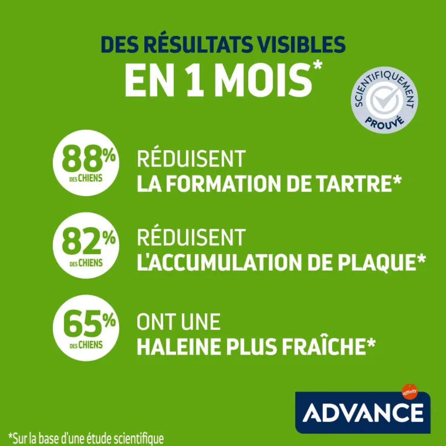 Advance Chien Snack Dental Mini