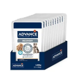 Advance Veterinary Diets Recovery Chien et Chat