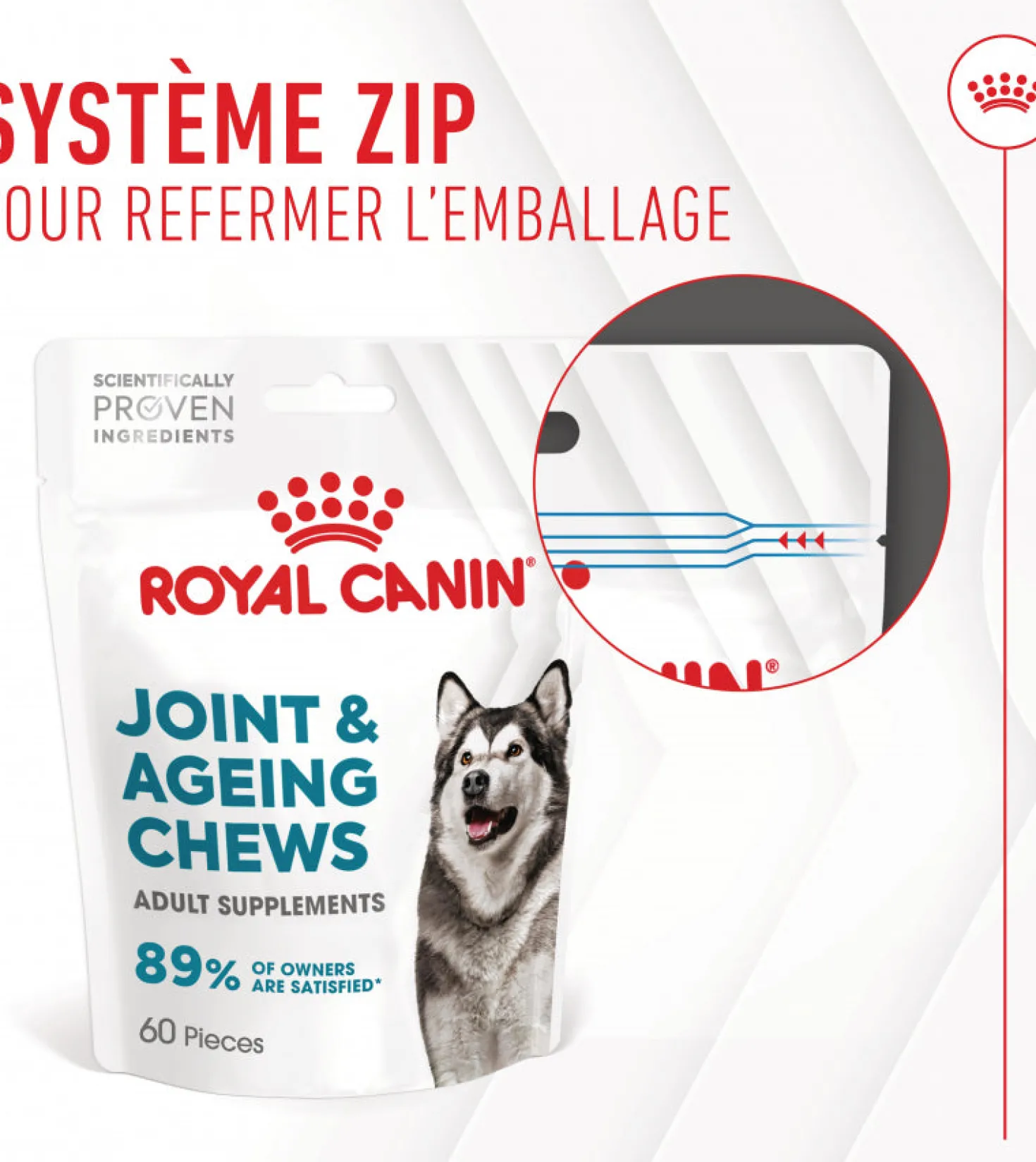 Aliment complémentaire Joint & Ageing Chews pour chien