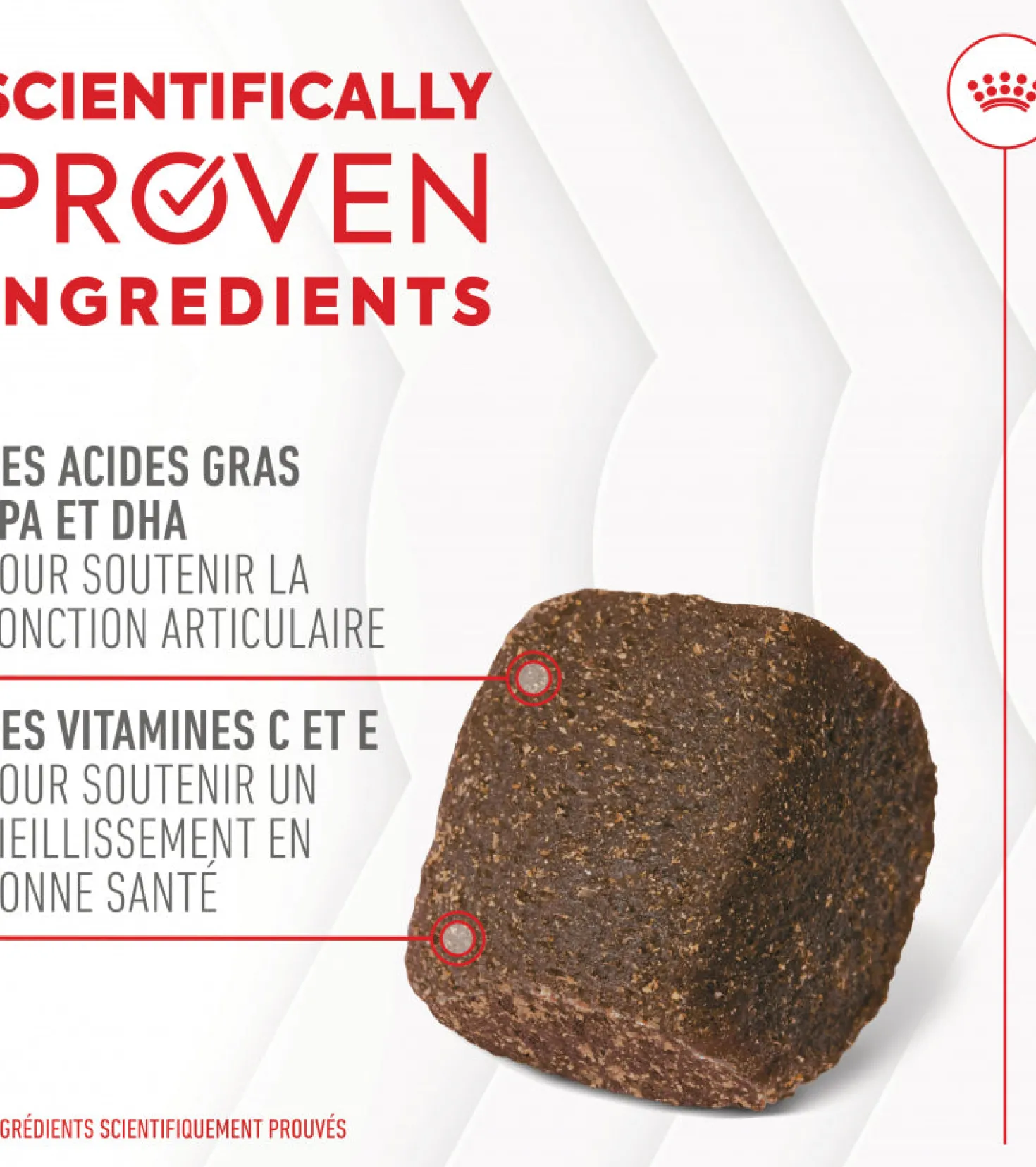 Aliment complémentaire Joint & Ageing Chews pour chien