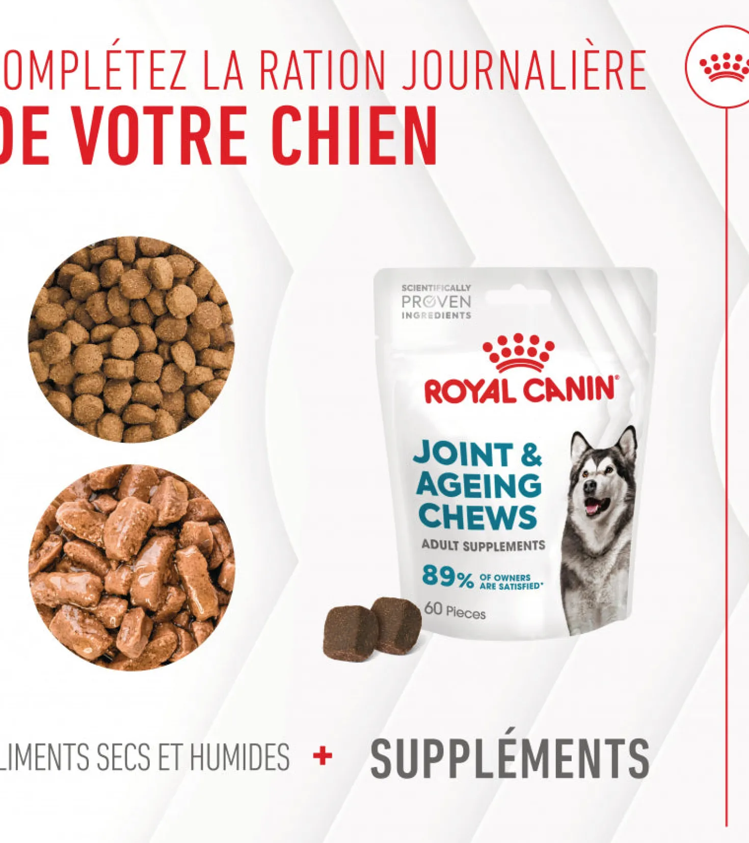 Aliment complémentaire Joint & Ageing Chews pour chien