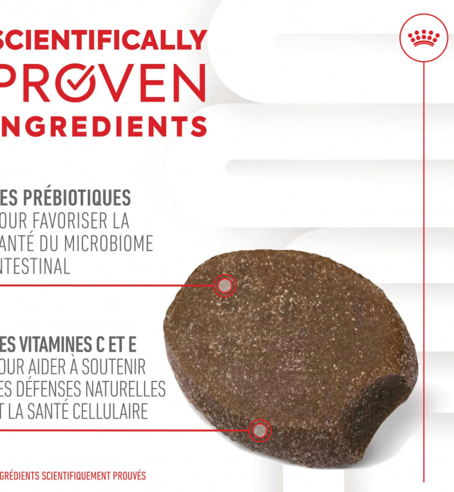 Aliment complémentaire Puppy Immunity & Digestion Chews chiot