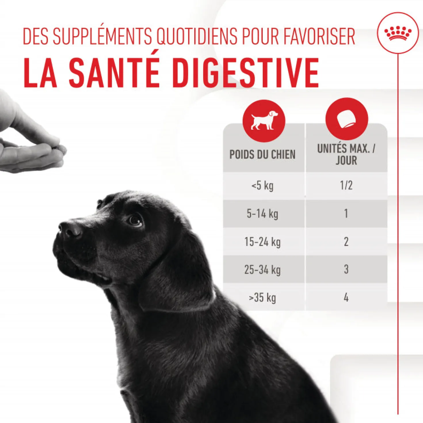 Aliment complémentaire Puppy Immunity & Digestion Chews chiot