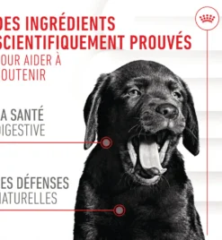 Aliment complémentaire Puppy Immunity & Digestion Chews chiot