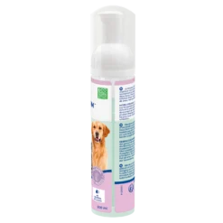 Allerderm Foam chat, chien