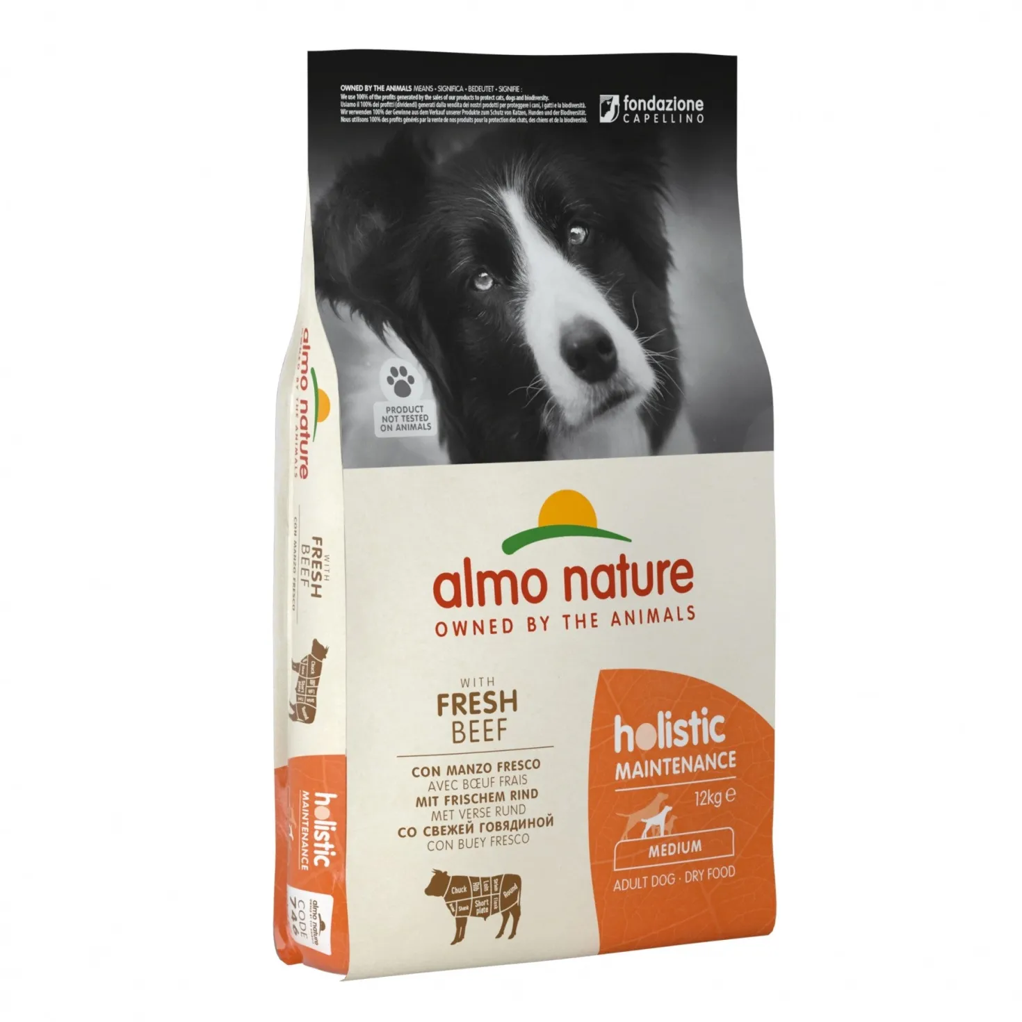 Almo Nature Croquettes Chien Adulte - Holistic Maintenance Medium