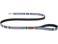 Amiplay - Laisse London pour chien