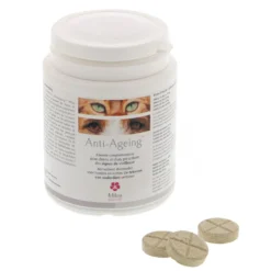 Anti-Ageing chien, chat