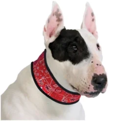 Aqua Coolkeeper - collier rafraîchissant pour chien