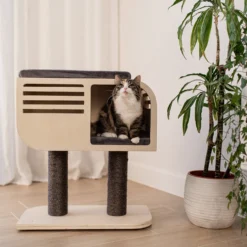 Arbre à chat Atlas
