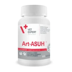 Art Asu XL 90 comprimés
