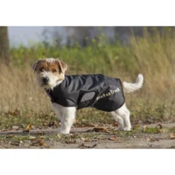 Back On Track Manteau standard Hugo