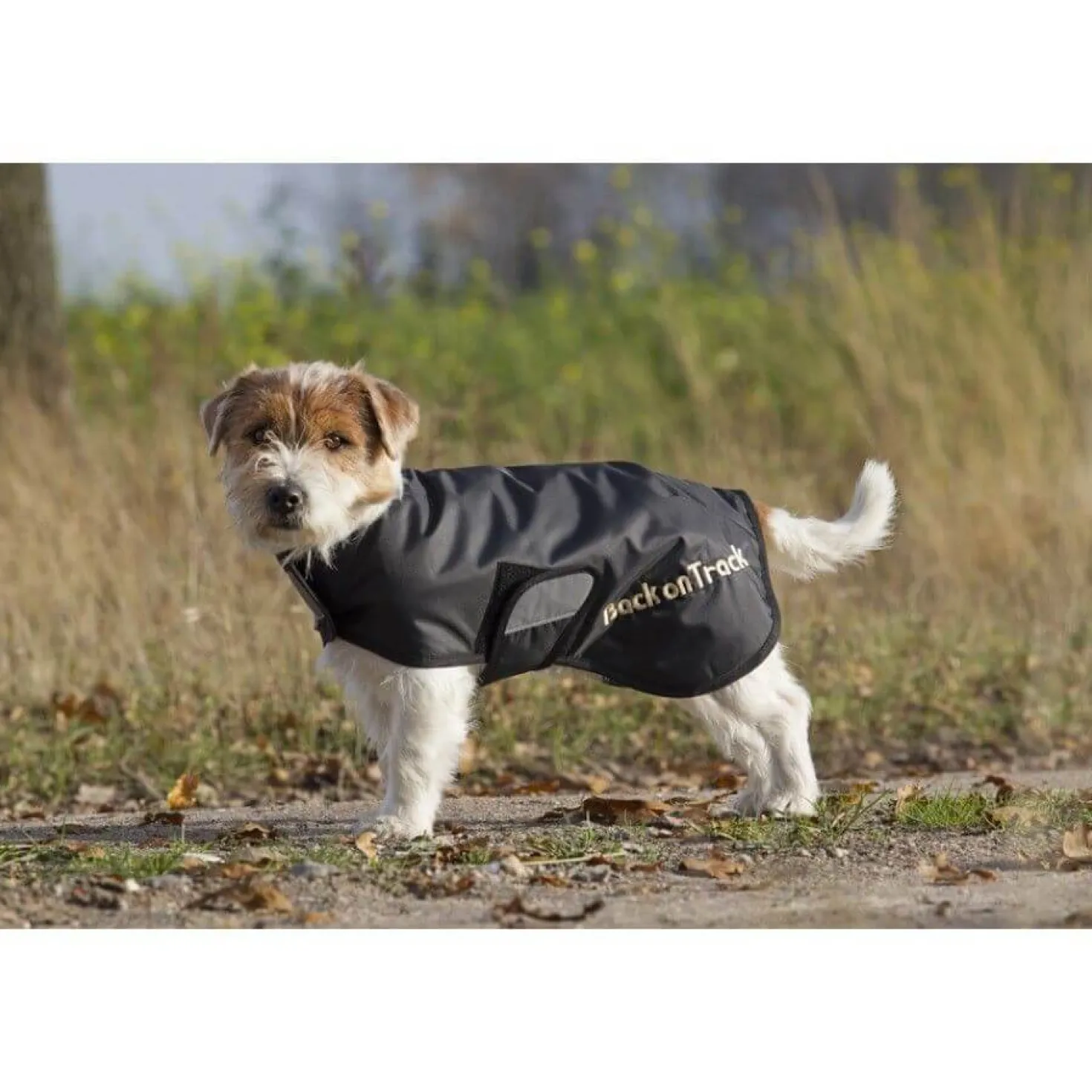 Back On Track Manteau standard Hugo