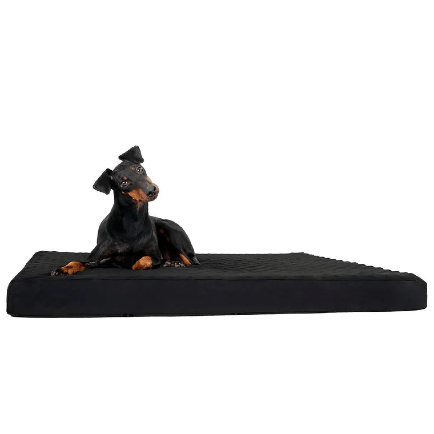 Back On Track Matelas pour chien