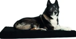 Back On Track Matelas pour chien 60 cm x 70 cm