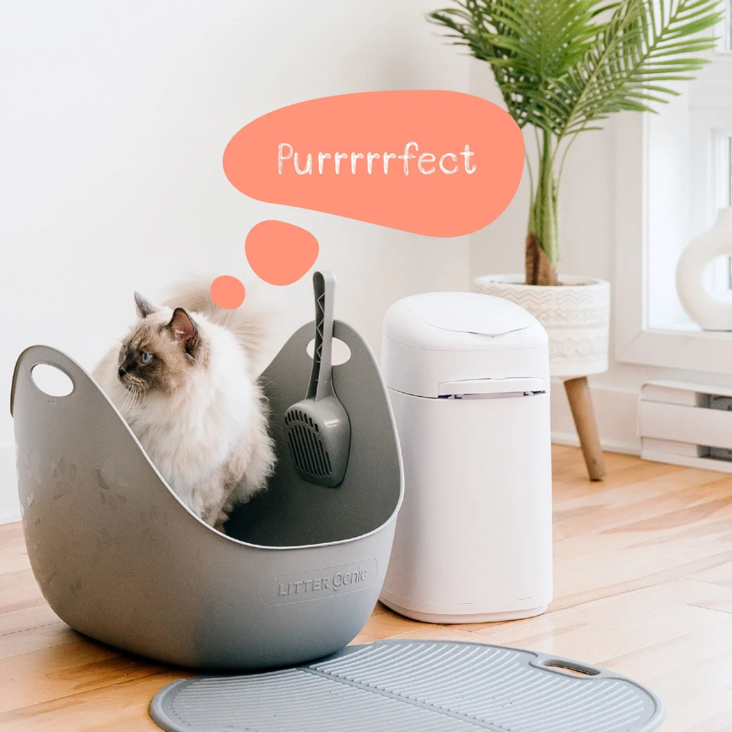 Bac à litière Litter Genie avec pelle - Gris