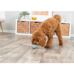 BALLE A FRIANDISES POUR CHIEN