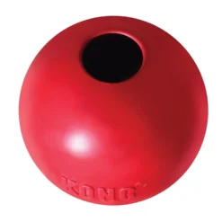 Balle Classic Kong chien