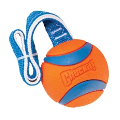 Balle flottante Ultra Tug chien