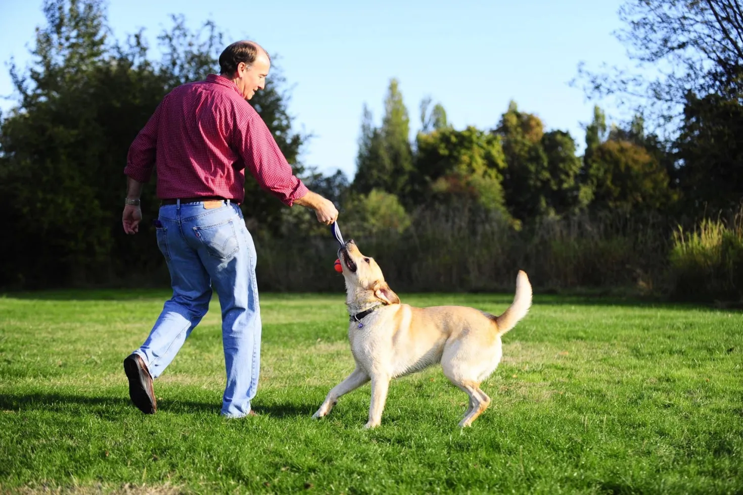 Balle flottante Ultra Tug chien