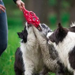 Balle XL Hol-EE roller chien