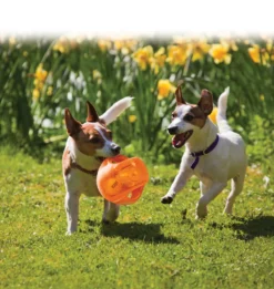 Ballon Jumbler