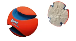 Ballon Kick Fetch