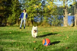 Ballon Kick Fetch