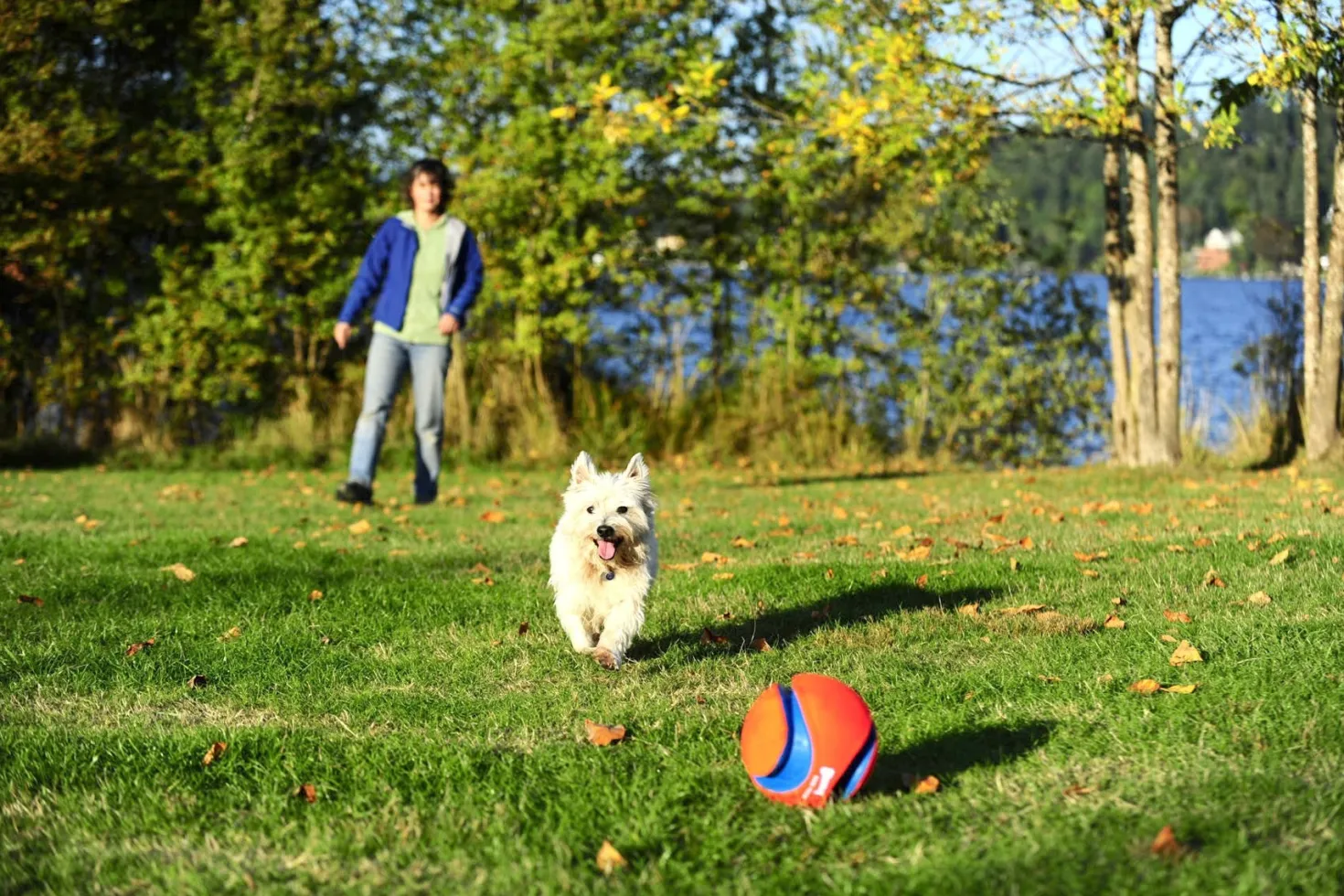 Ballon Kick Fetch