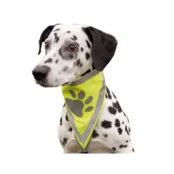 Bandana réfléchissant chien