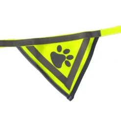 Bandana réfléchissant chien