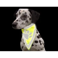 Bandana réfléchissant chien