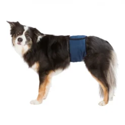 Bande ventrale pour chiens mâles