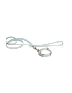 Beeztees - Puppy - Kit collier et laisse Harno