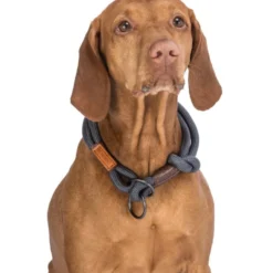 BE NORDIC COLLIER CHIEN EN CORDE