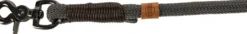 BE NORDIC LAISSE CHIEN CORDE