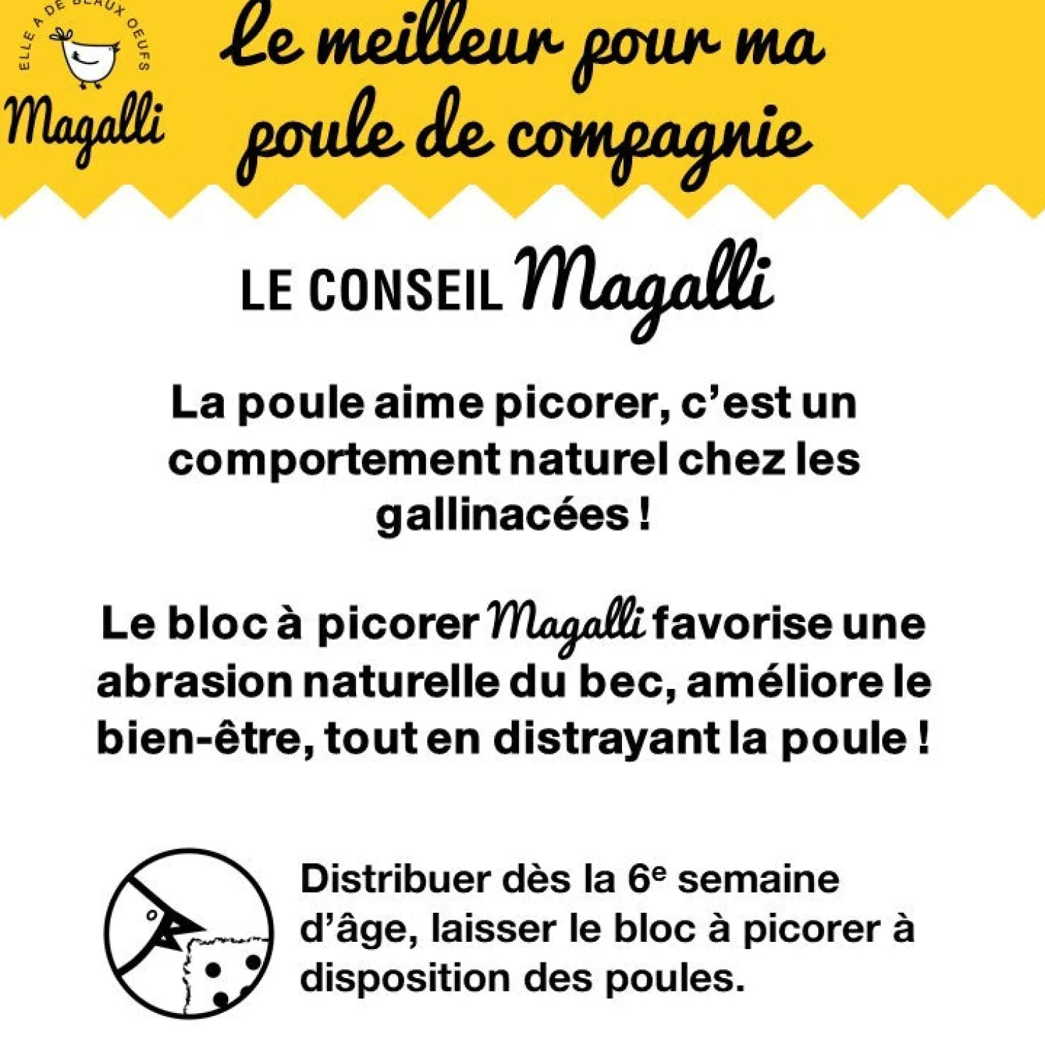 Bloc à picorer poules
