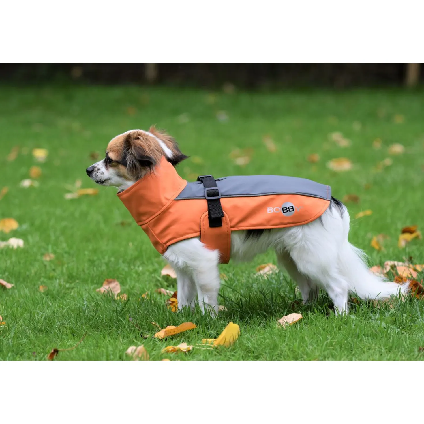 Bobby - Chien - Manteau Technic