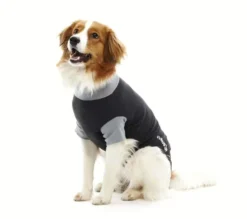 Body chien