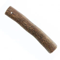 Bois de cerf chien