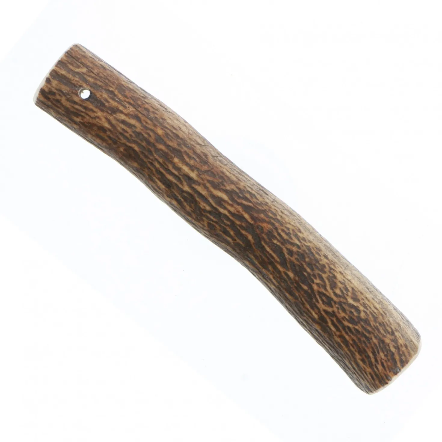 Bois de cerf chien