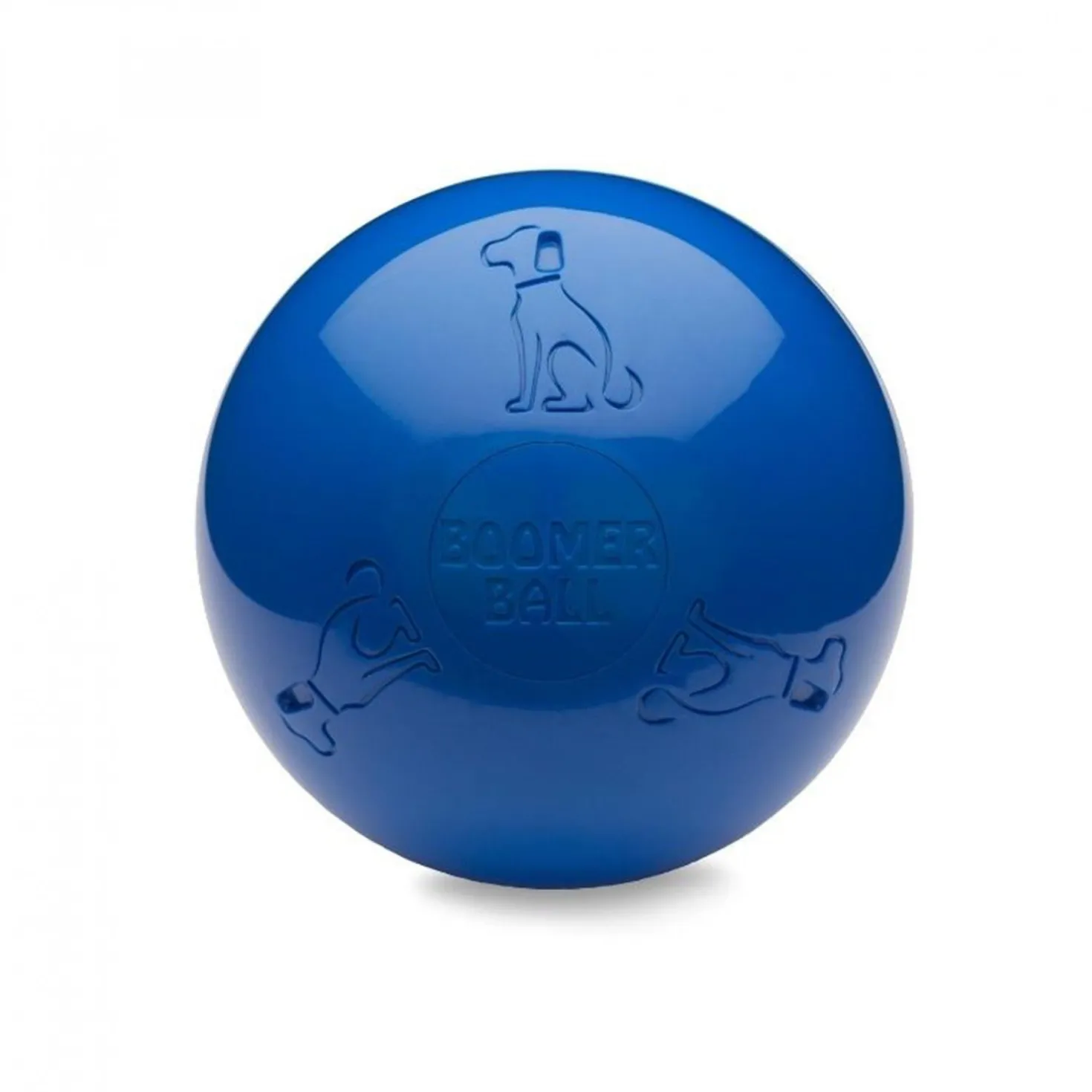 Boomer Ball chien