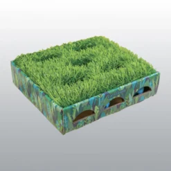 Boîte de chasse Grass Patch pour chat