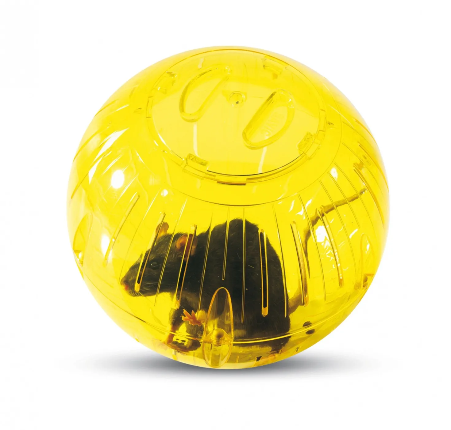 Boule d'exercice Runner rongeur