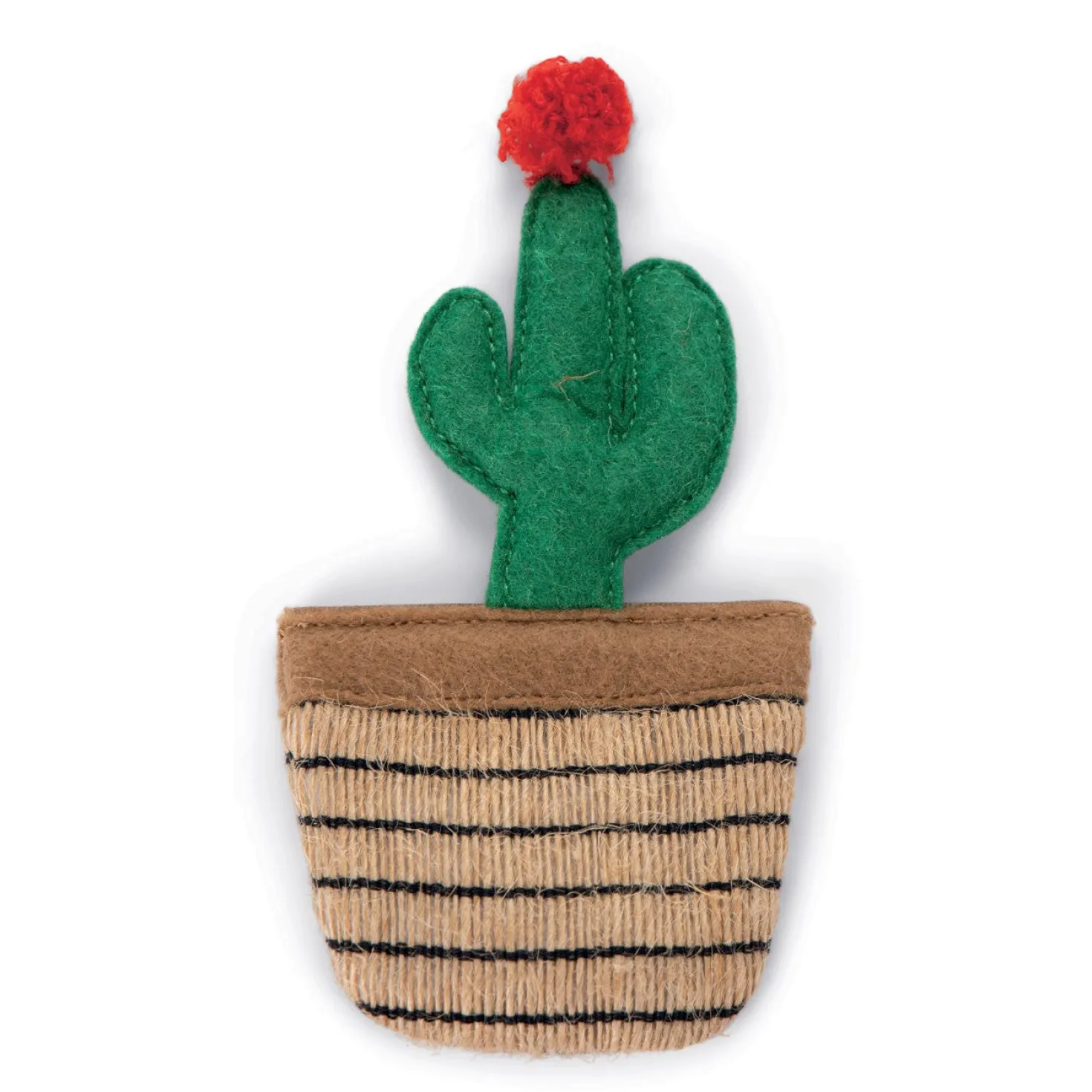 Cactus à l'herbe à chat