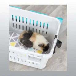 Cage de transport pour cochons d'indes et lapins nains