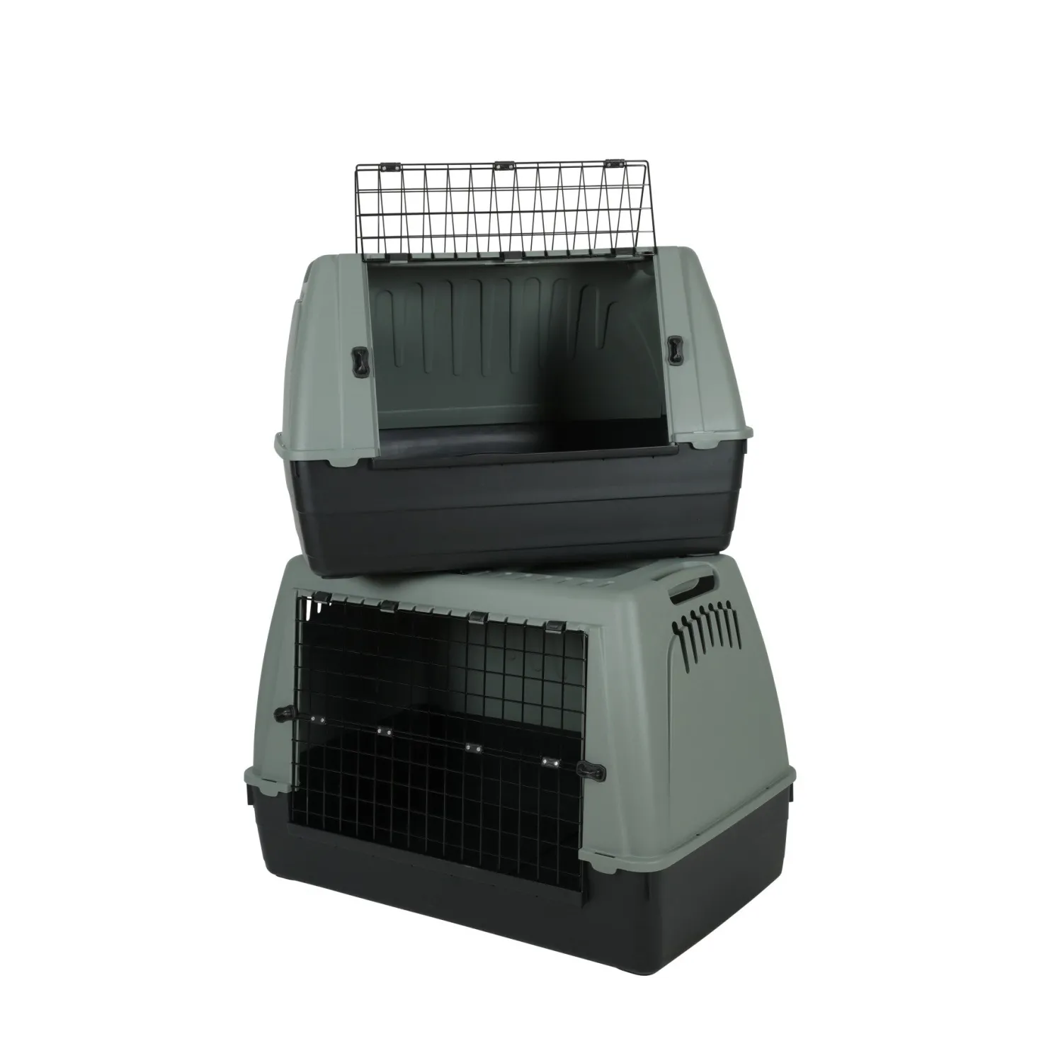 Caisse de coffre Travel Cage